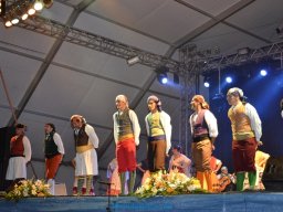 Festival de Folkore en Mula